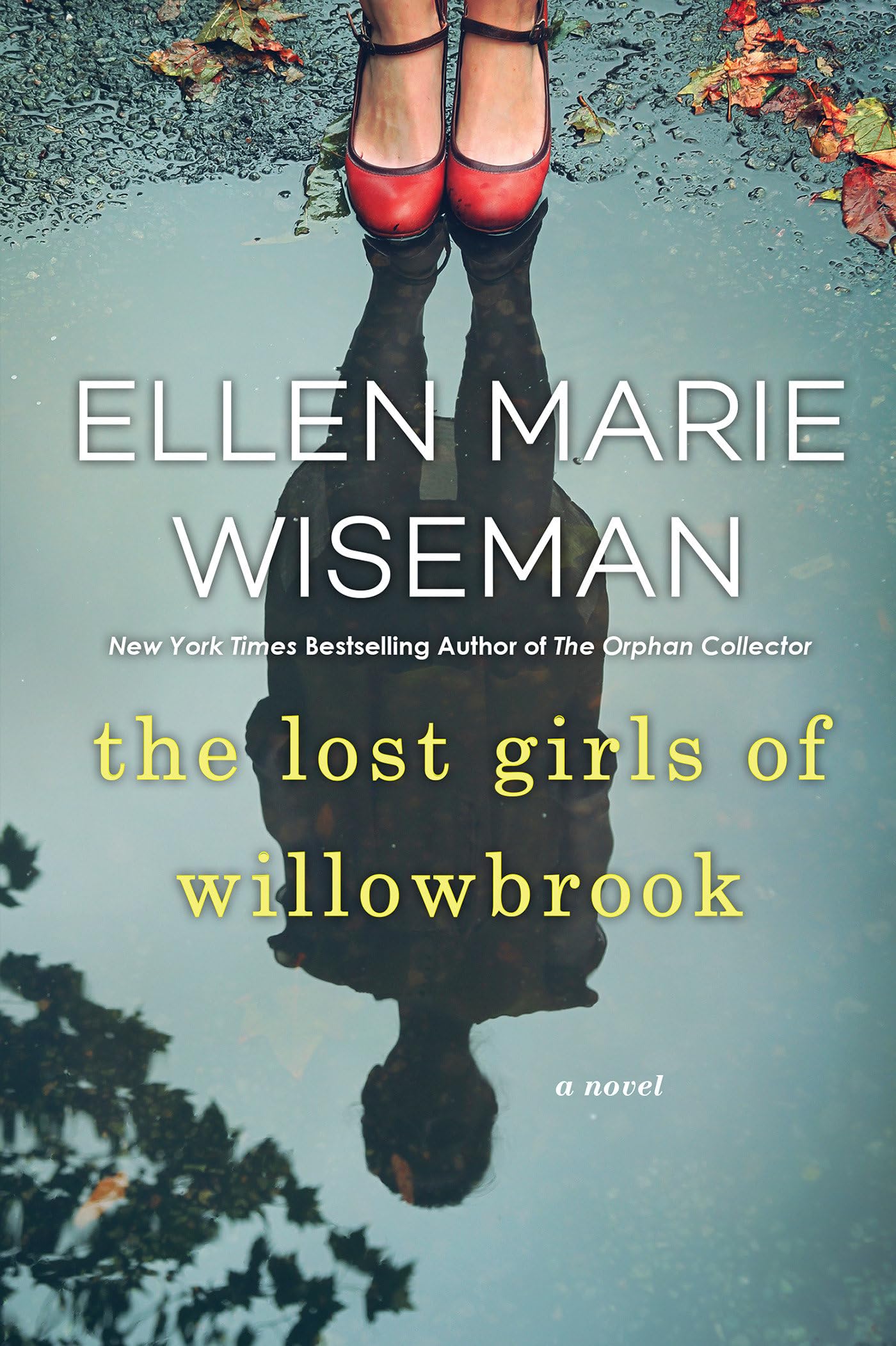 The Lost Girls of Willowbrook: A Heartbreaking Novel of Survival Based on True History,Used