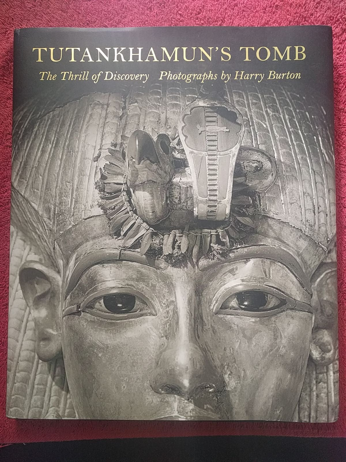 Tutankhamun's Tomb: The Thrill of Discovery,Used