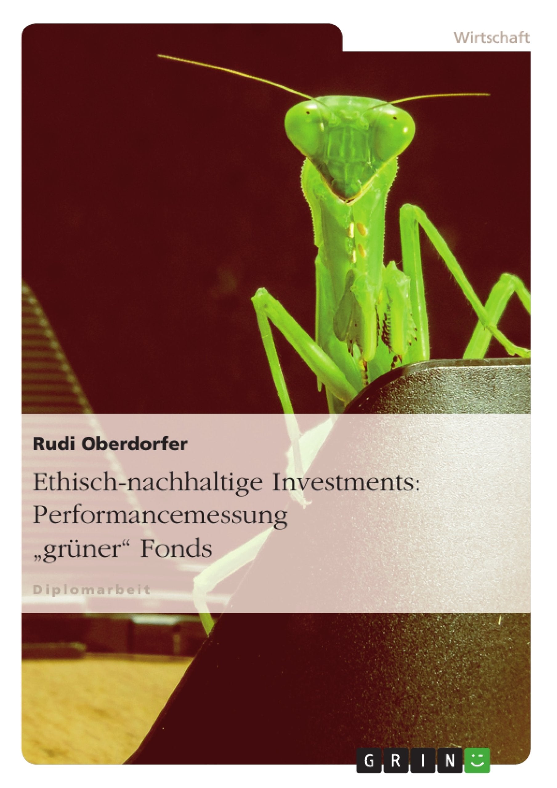 Ethischnachhaltige Investments: Performancemessung 