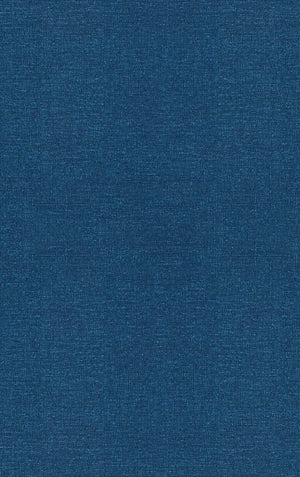 Regenerative Stochastic Simulation (Statistical Modeling And Decision Science),Used