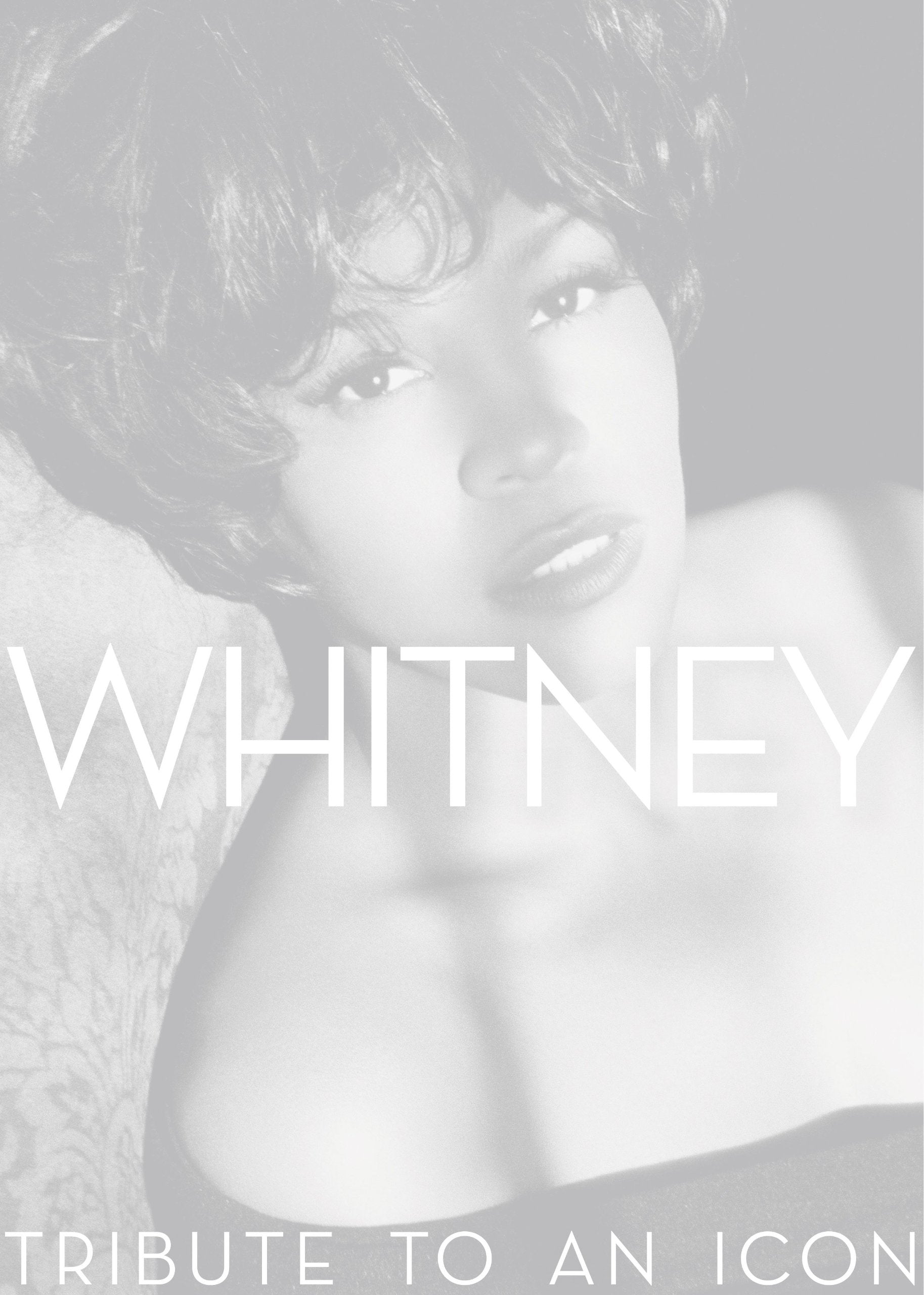 Whitney: Tribute to an Icon,Used