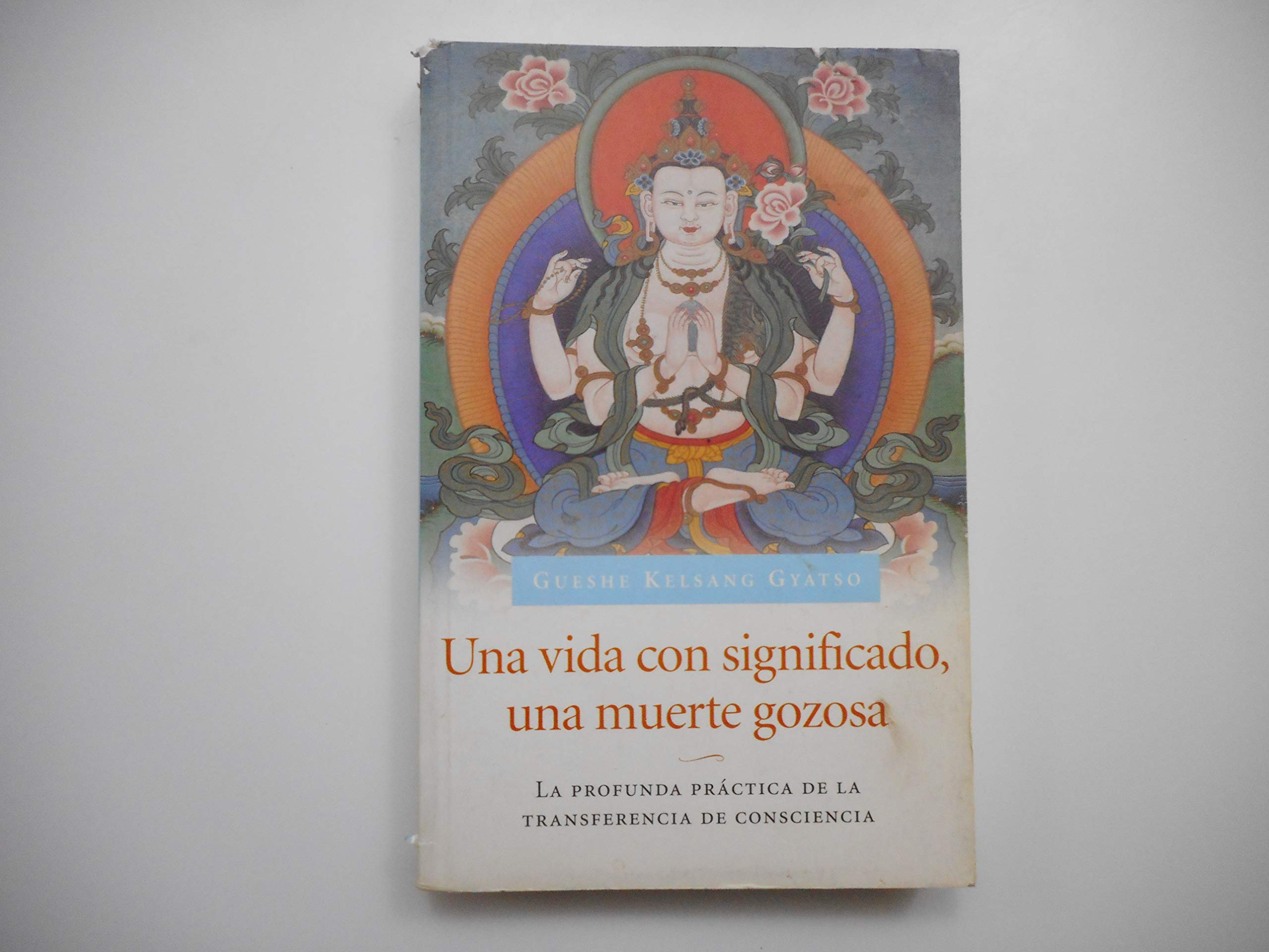 Una Vida con significado, una muerte gozosa (Living Meaningfully, Dying Joyfully): La profunda pr?tica de la transferencia de co,Used