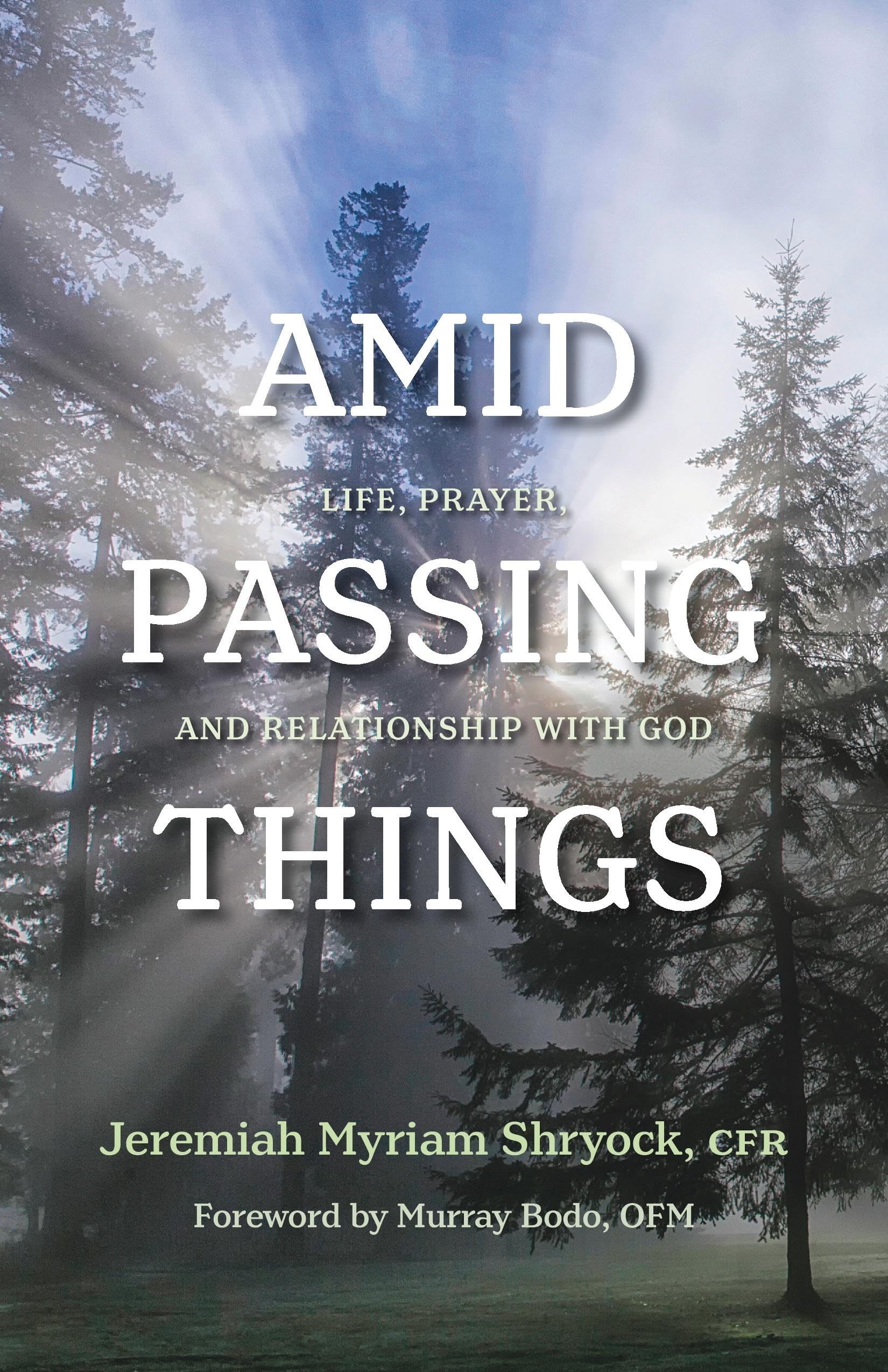 Amid Passing Things: Life, Prayer, and Relationship with God,Used