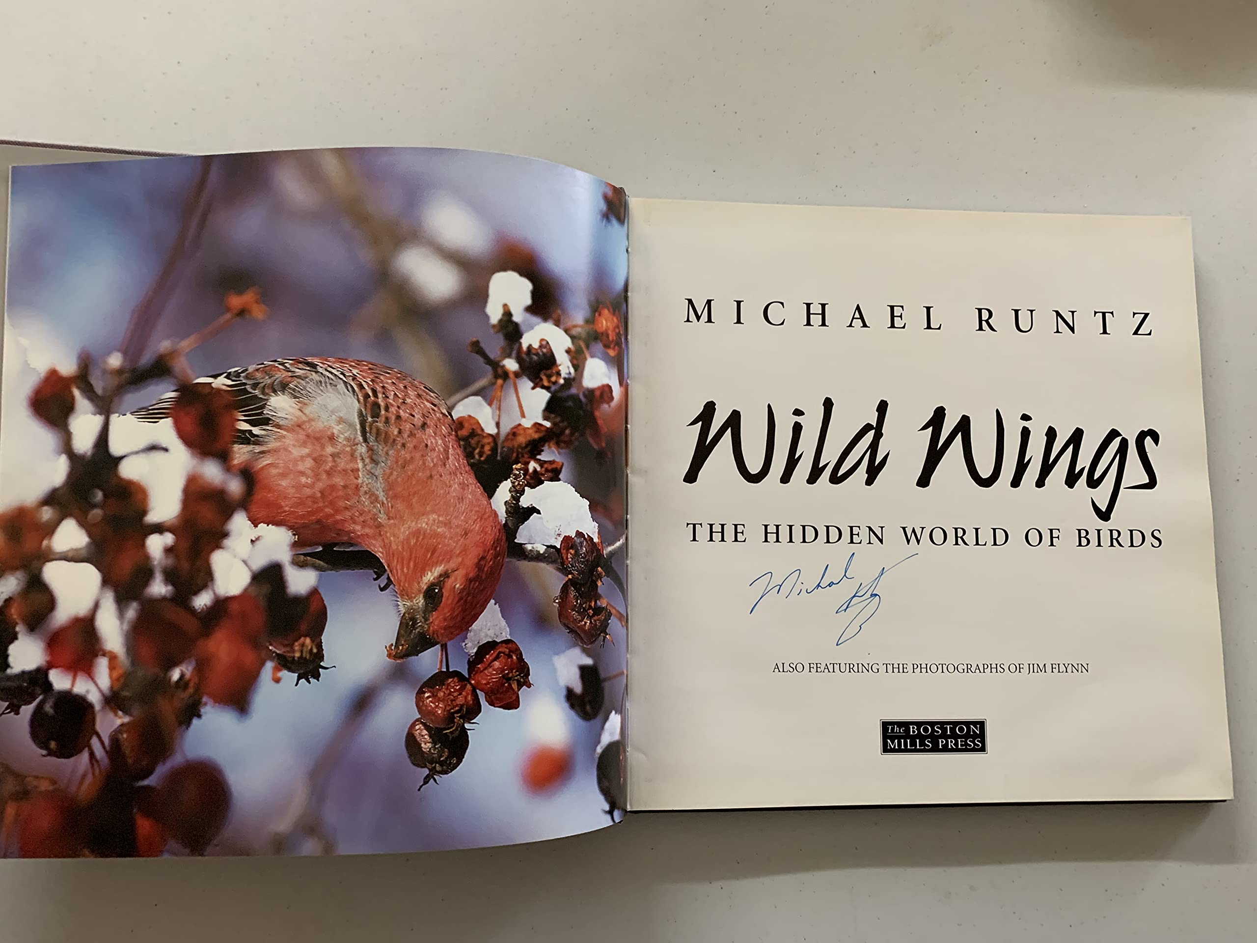 Wild Wings: The Hidden World of Birds,Used