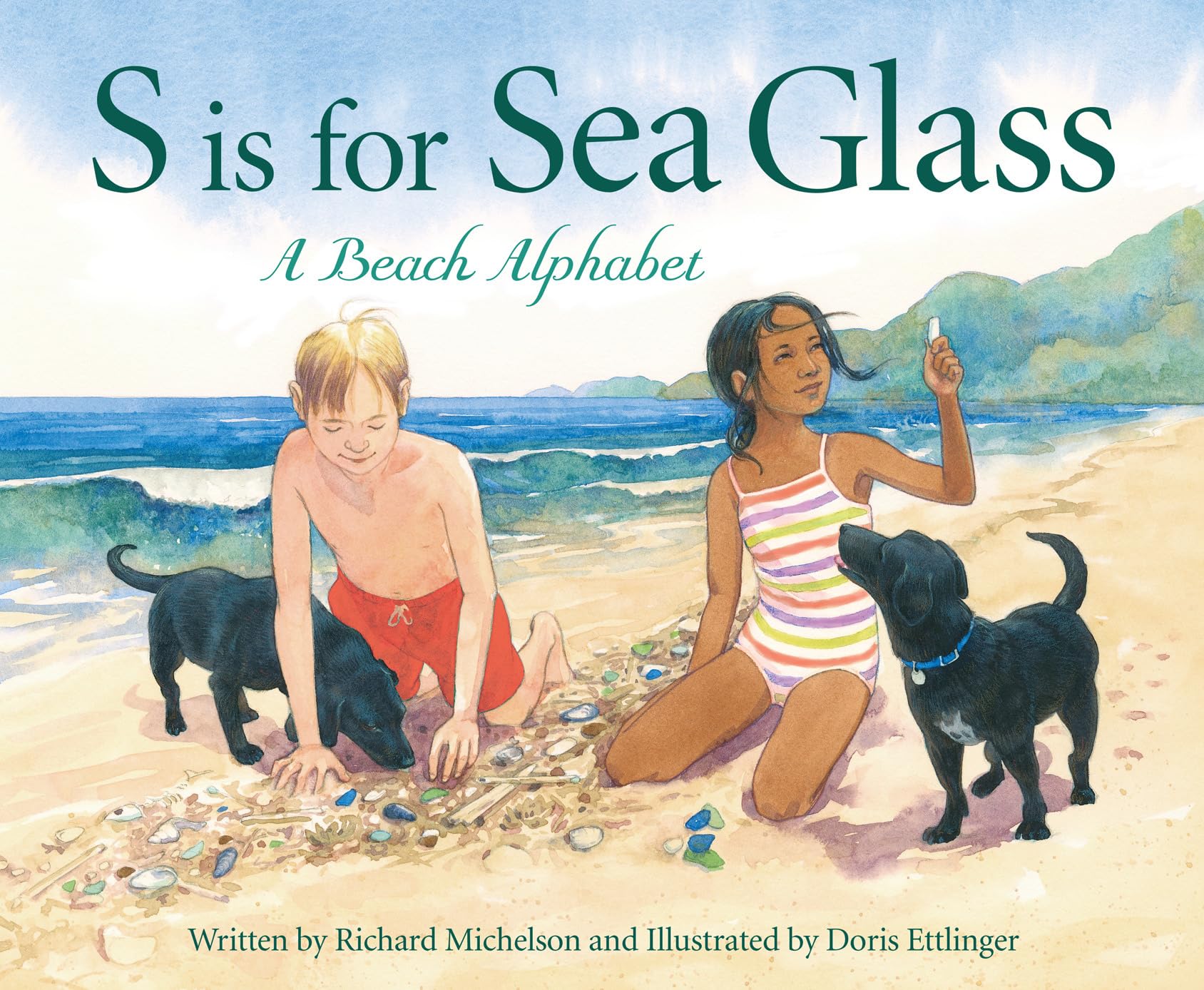 S is for Sea Glass: A Beach Alphabet: A Beach Alphabet,Used