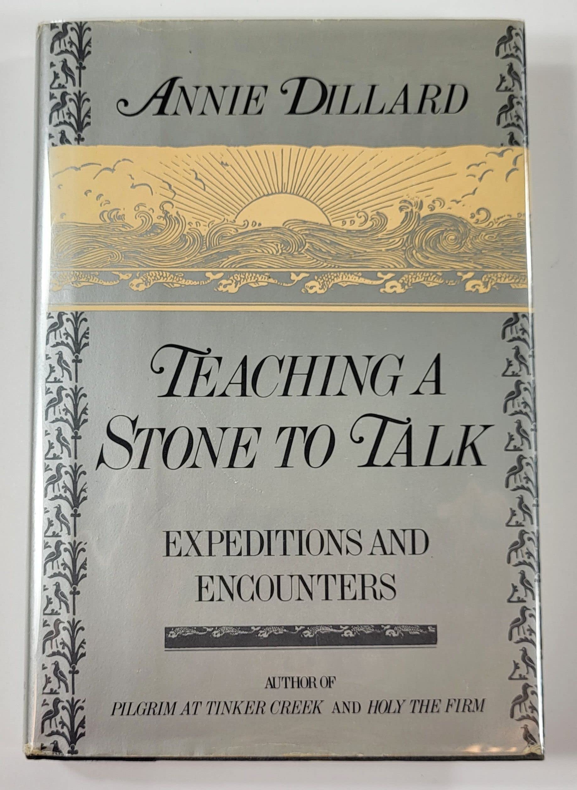 Teaching a Stone to Talk,New