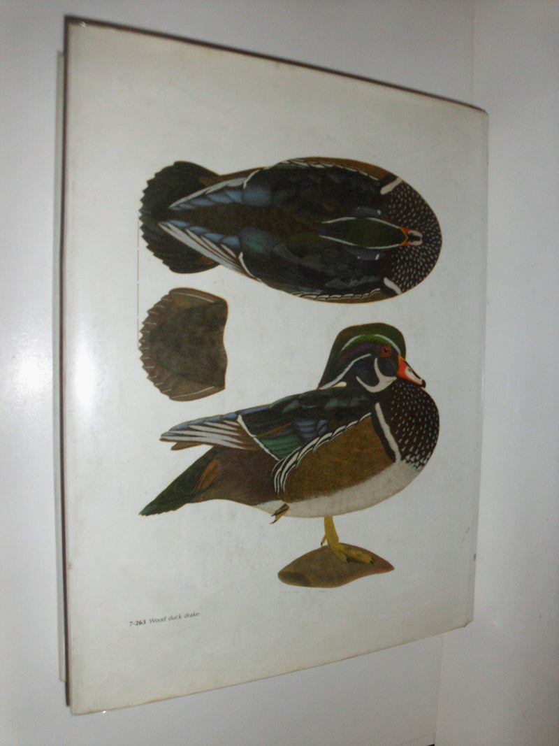 The New Game Bird Carving, 3rd Edition,Used