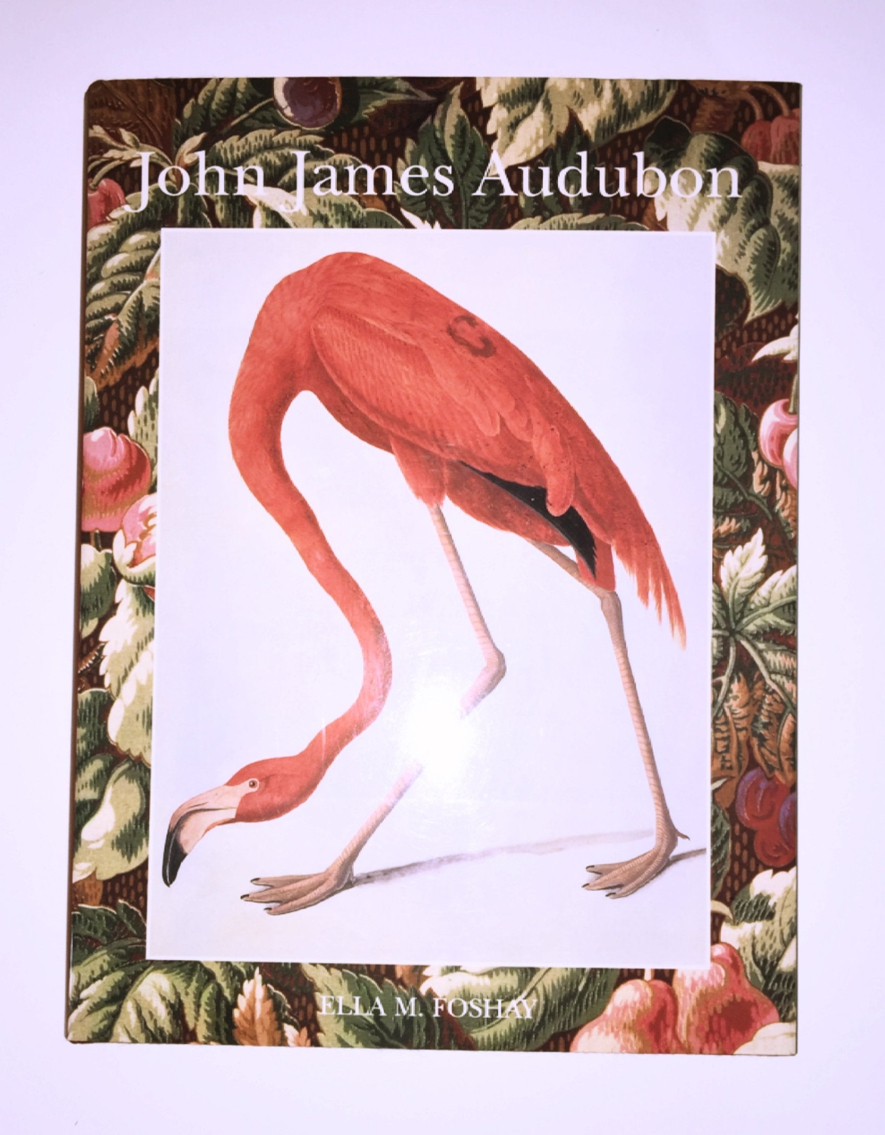 John James Audubon (Library Of American Art)