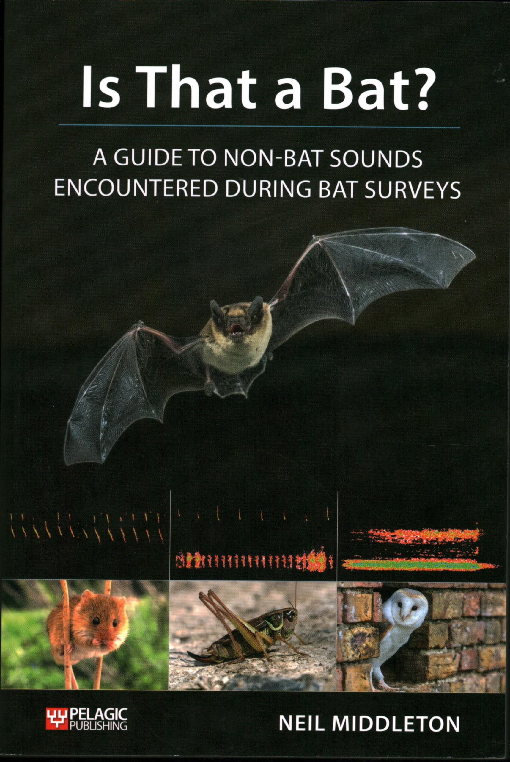 Is That a Bat?: A Guide to NonBat Sounds Encountered During Bat Surveys,Used