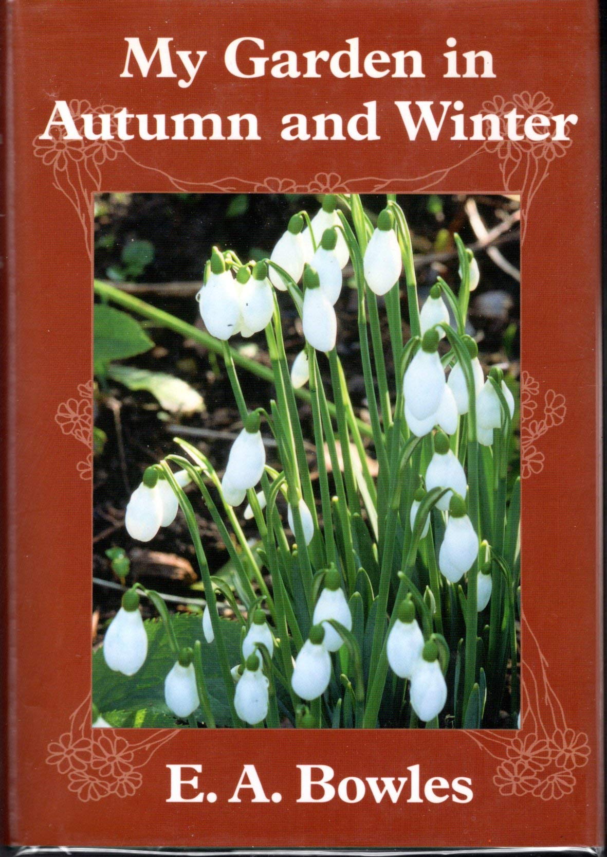 My Garden in Autumn and Winter,Used