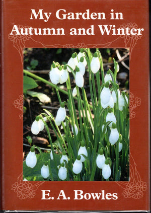 My Garden in Autumn and Winter,Used