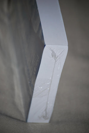 Everyday Bible For People Who Want To Know The Word