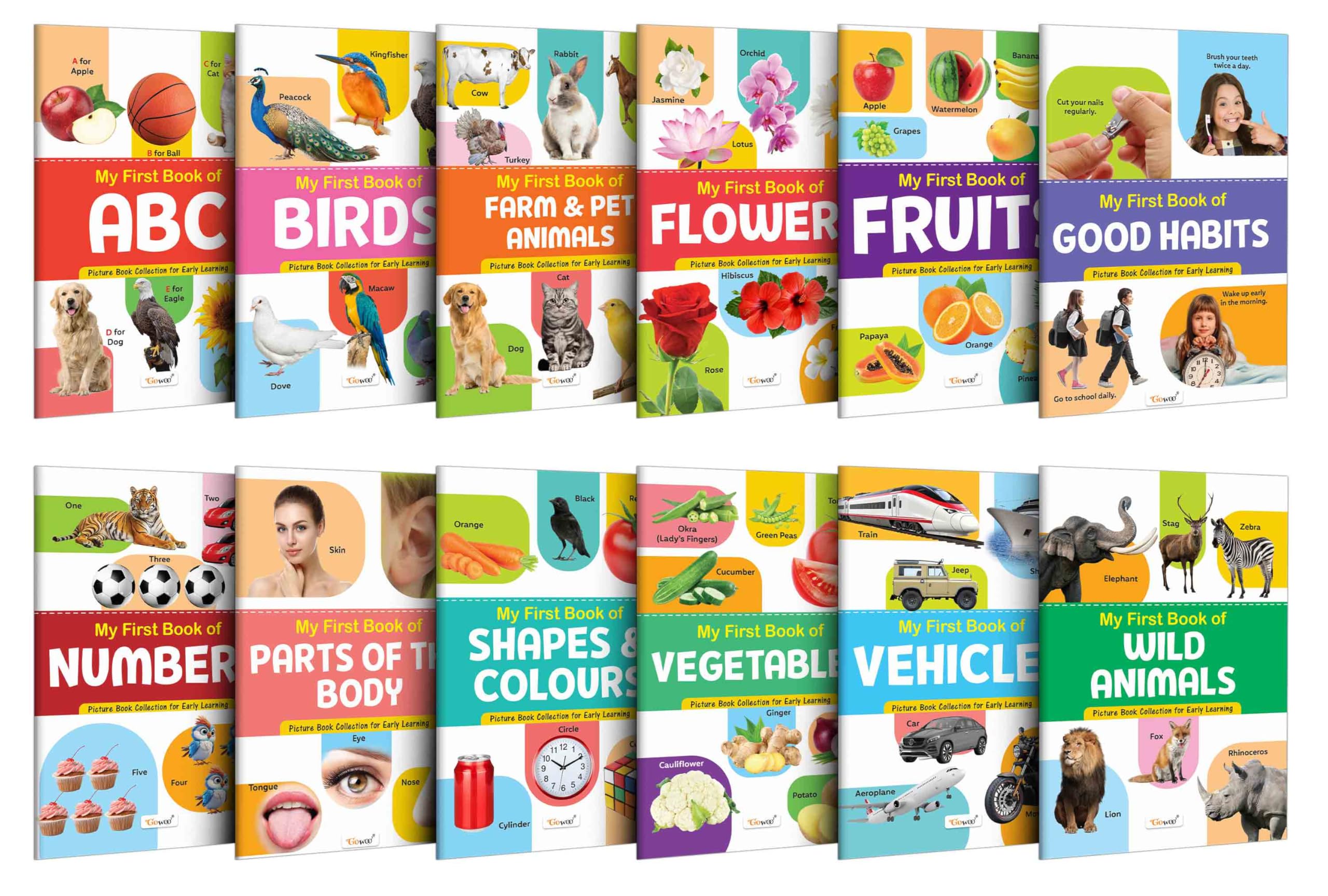Toddlers Learning Library : Learning Book For Kids, My First Picture Book Collection For Early Learning With 12 Topics, Birthday Gifts For Toddler