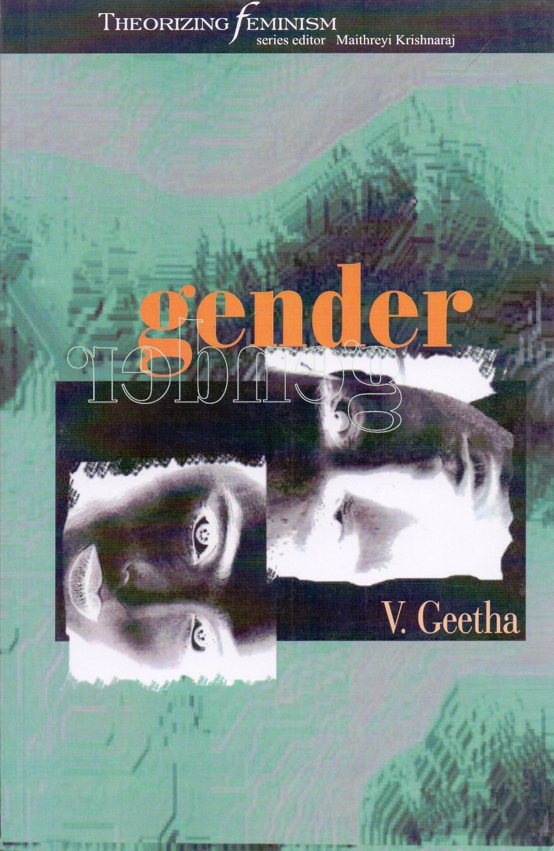 Gender (Theorizing Feminism),Used