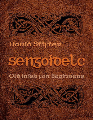 Sengoidelc: Old Irish For Beginners (Irish Studies),Used