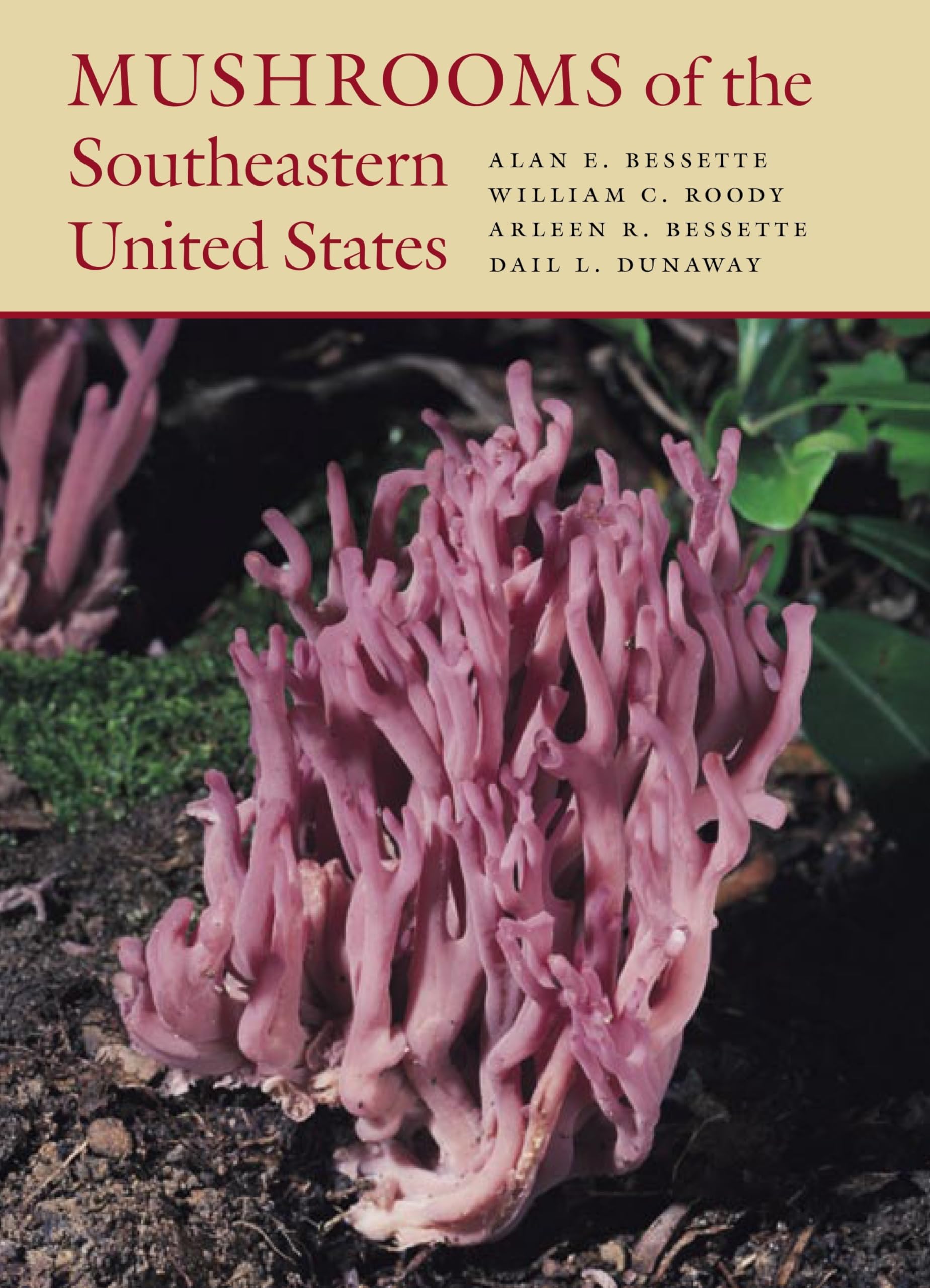 Mushrooms Of The Southeastern United States,Used