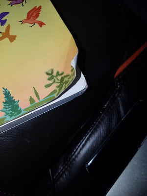 The FirstYear Teacher's Survival Guide: ReadytoUse Strategies, Tools & Activities for Meeting the Challenges of Each School D,Used