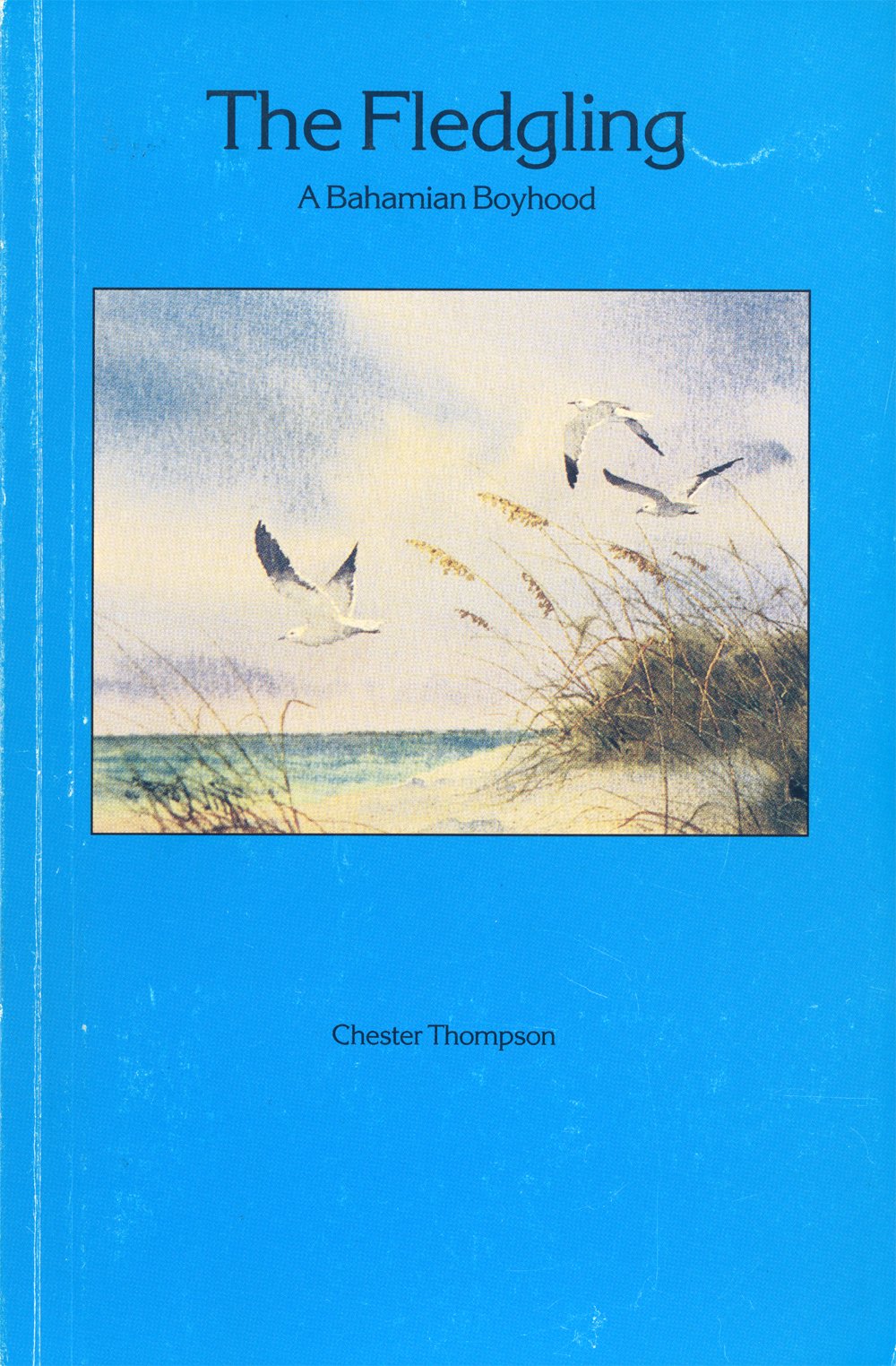 The Fledgling: A Bahamian Boyhood,Used