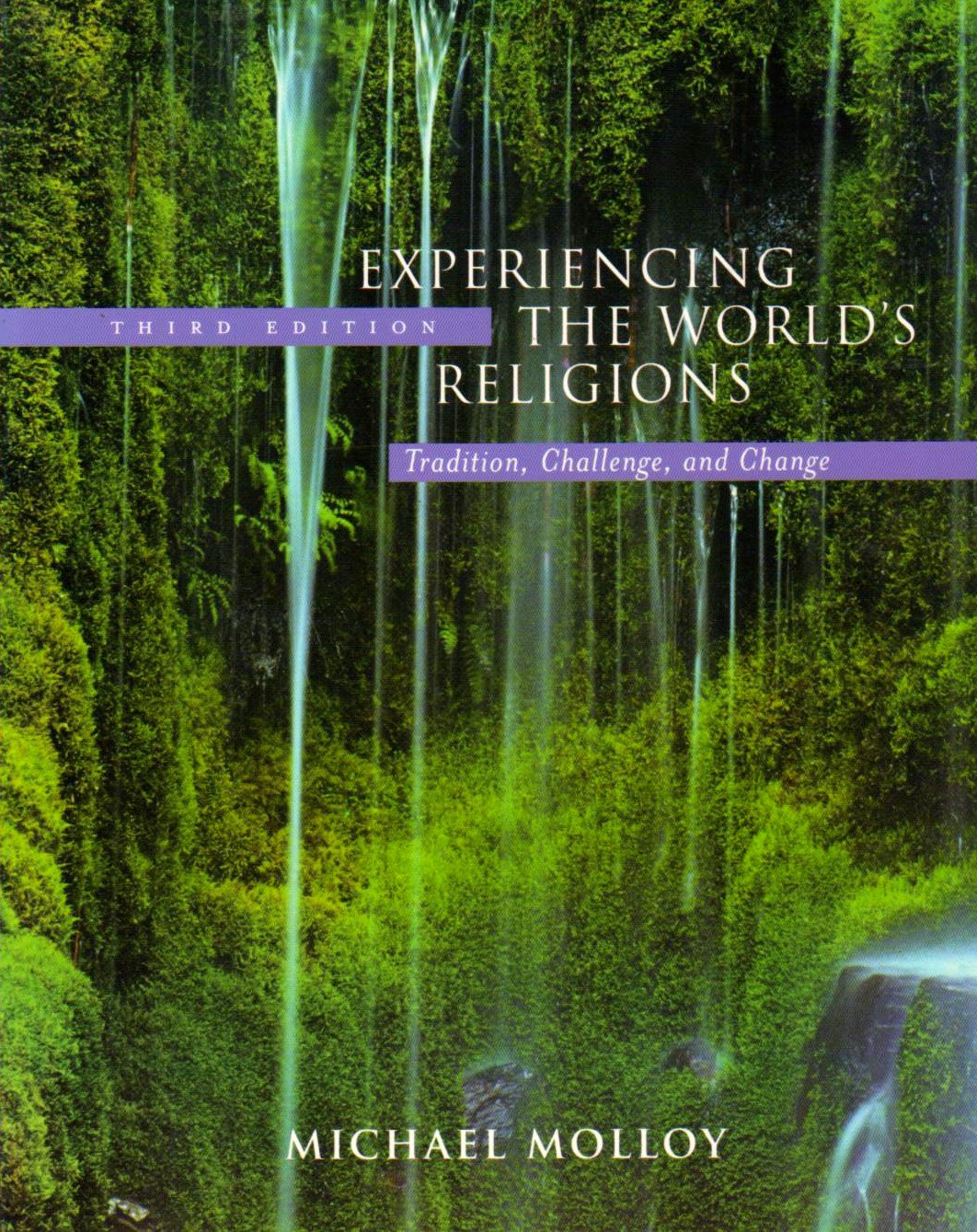 Experiencing the World's Religions: Tradition Challenge and Change,New