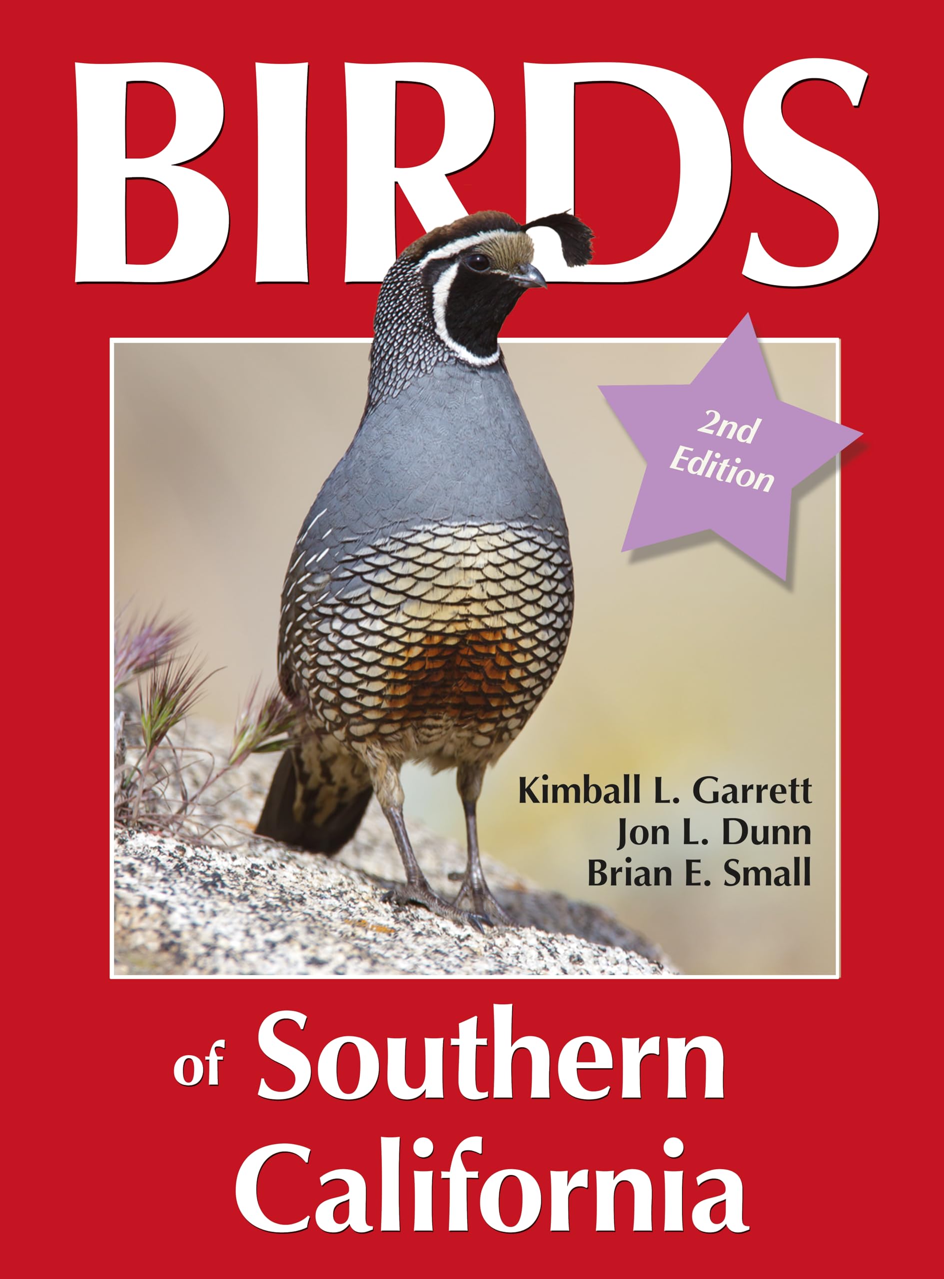 Birds of Southern California,Used