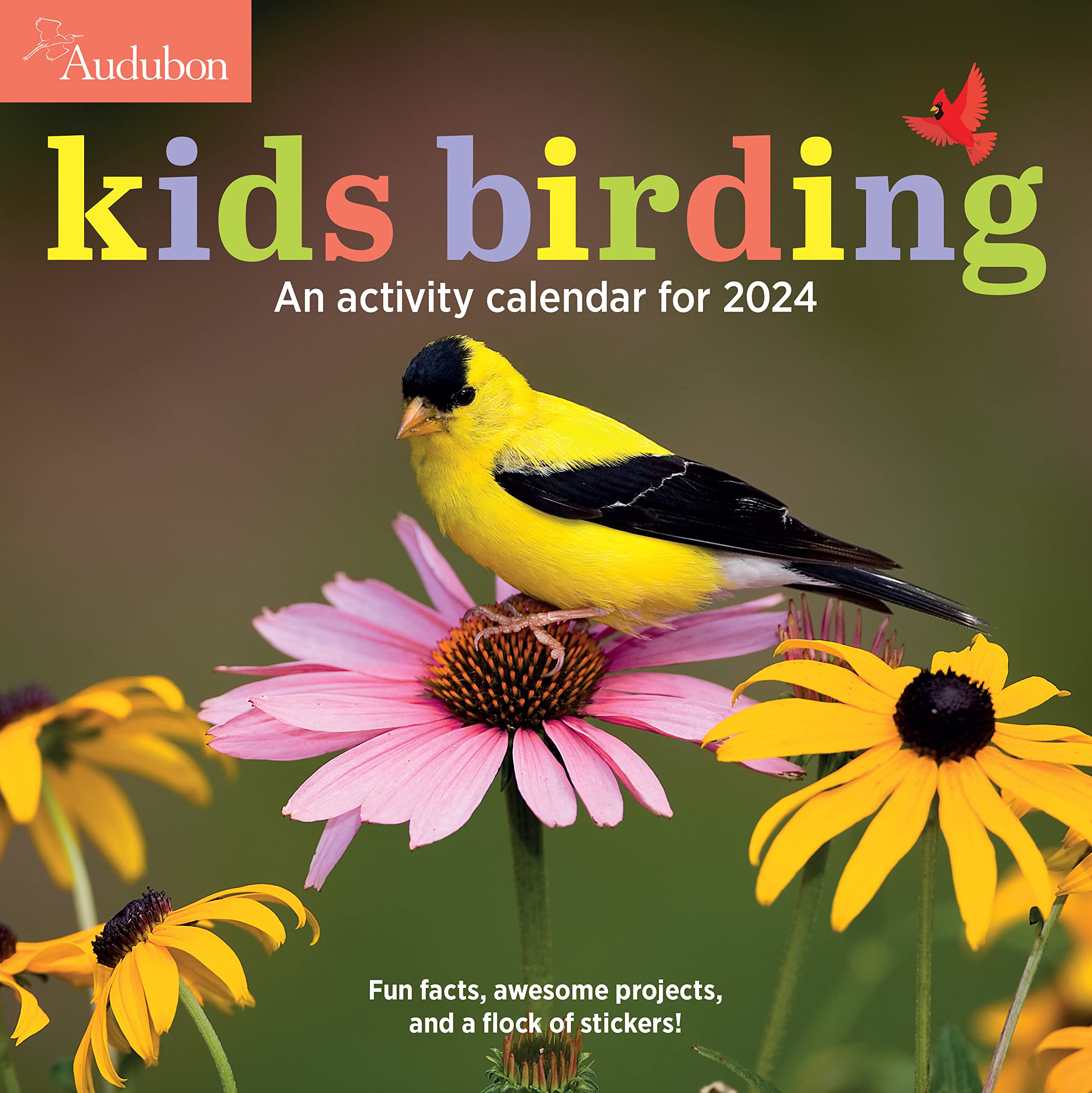Audubon Kids Birding Wall Calendar 2024: An Activity Calendar For 2024