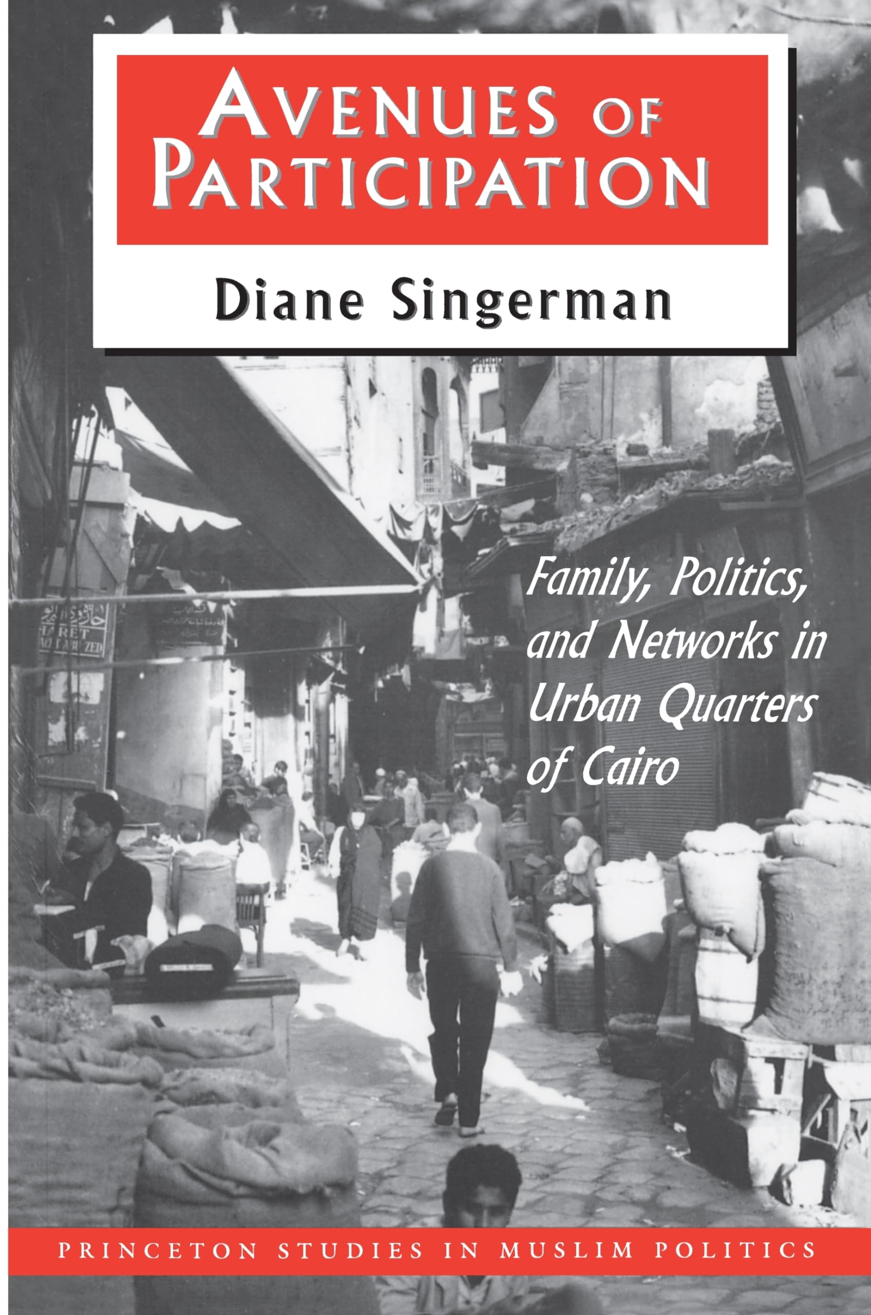 Avenues of Participation : Family, Politics, and Networks in Urban Quarters of Cairo,Used