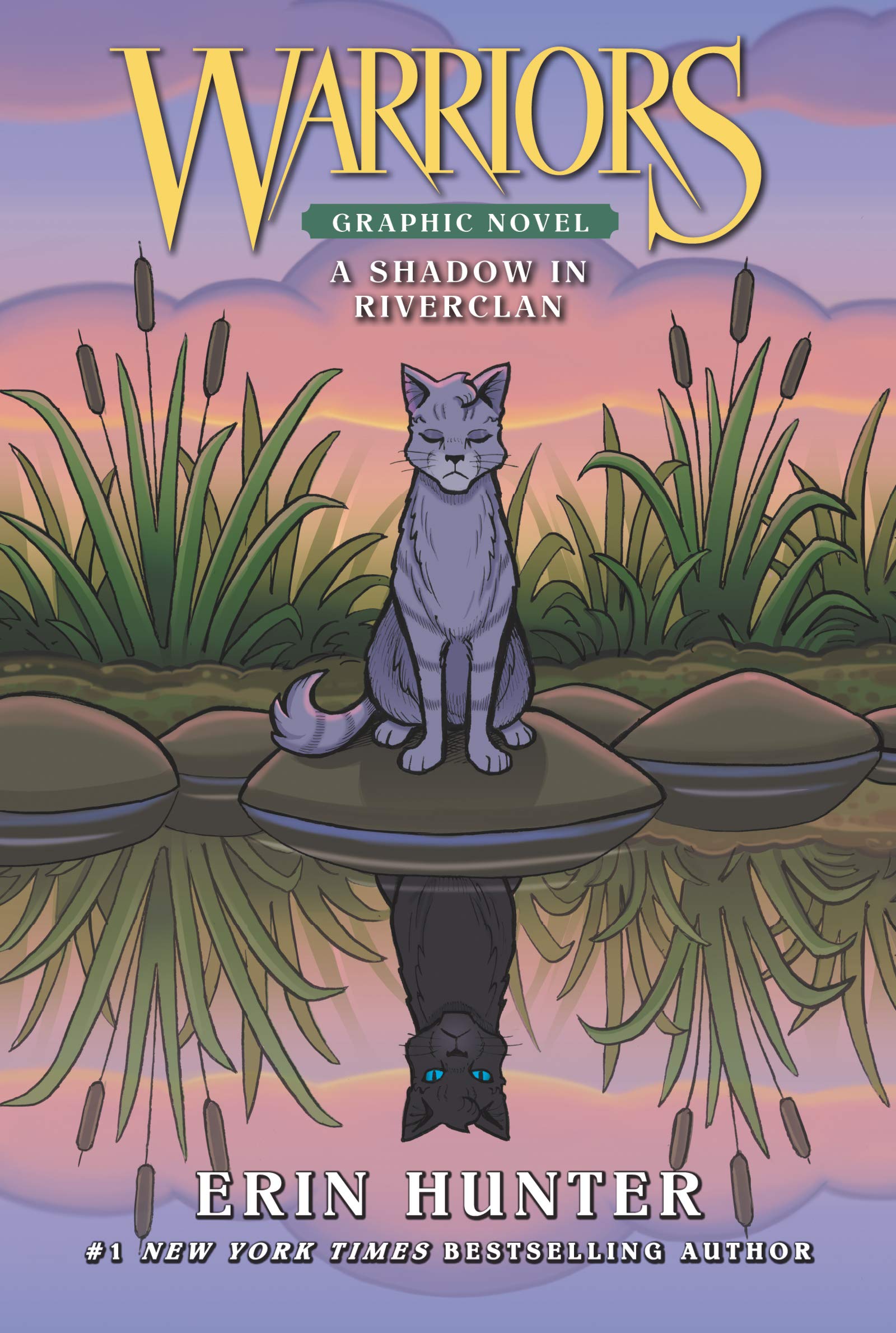 Warriors: A Shadow In Riverclan (Fullcolor Adventure)