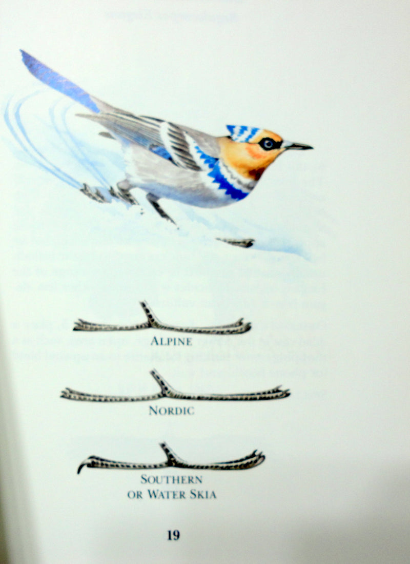A Field Guide to LittleKnown and SeldomSeen Birds of North America,Used