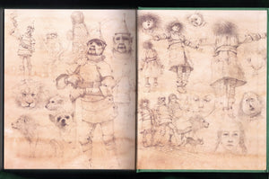 The Wonderful Wizard Of Oz (Sterling Illustrated Classics),Used