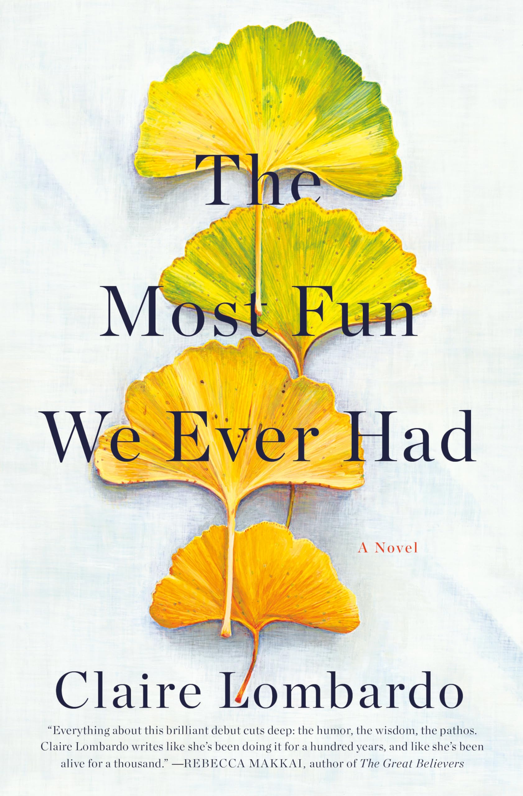 The Most Fun We Ever Had: A Novel,Used