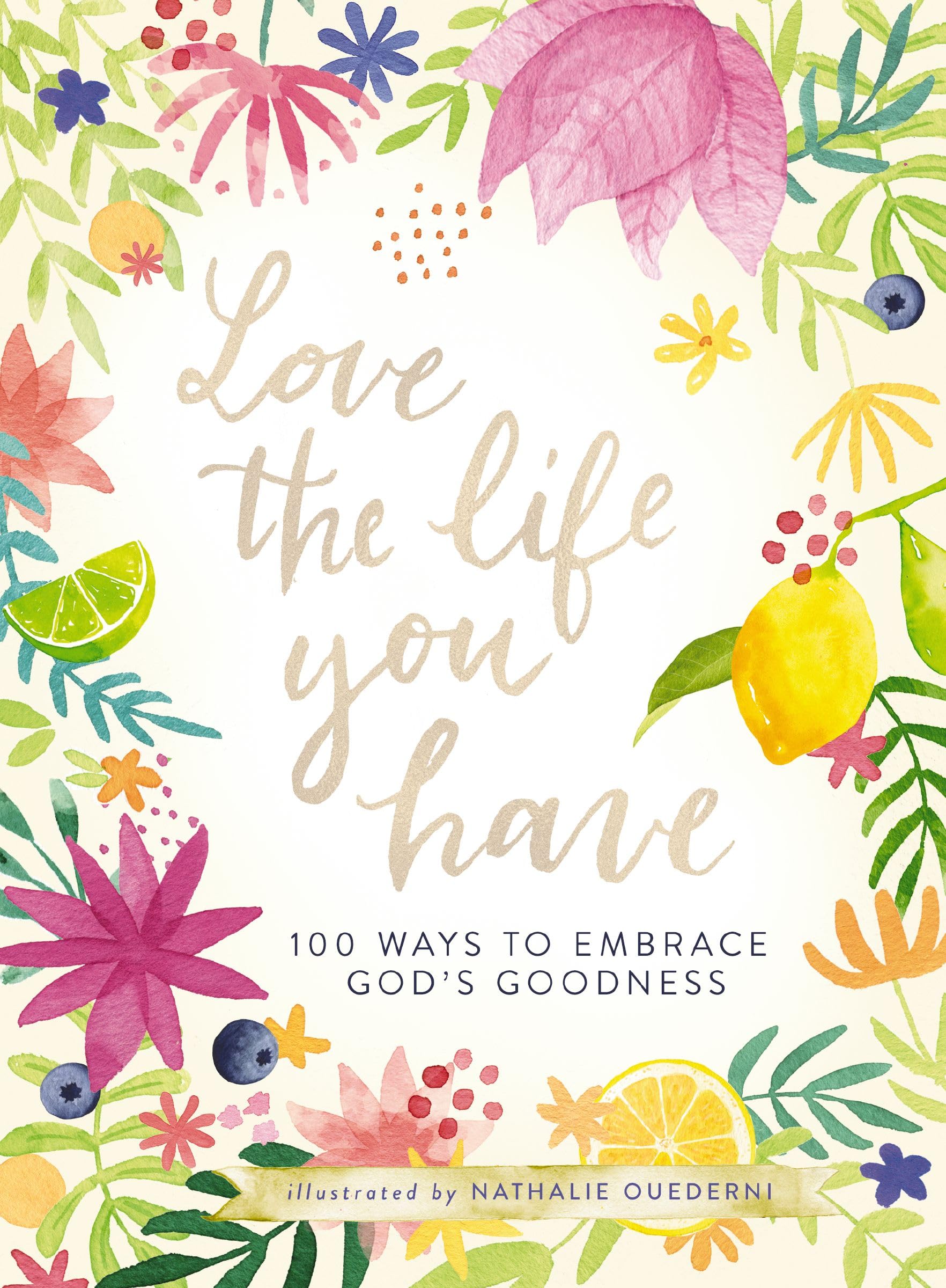 Love the Life You Have: 100 Ways to Embrace Gods Goodness,Used