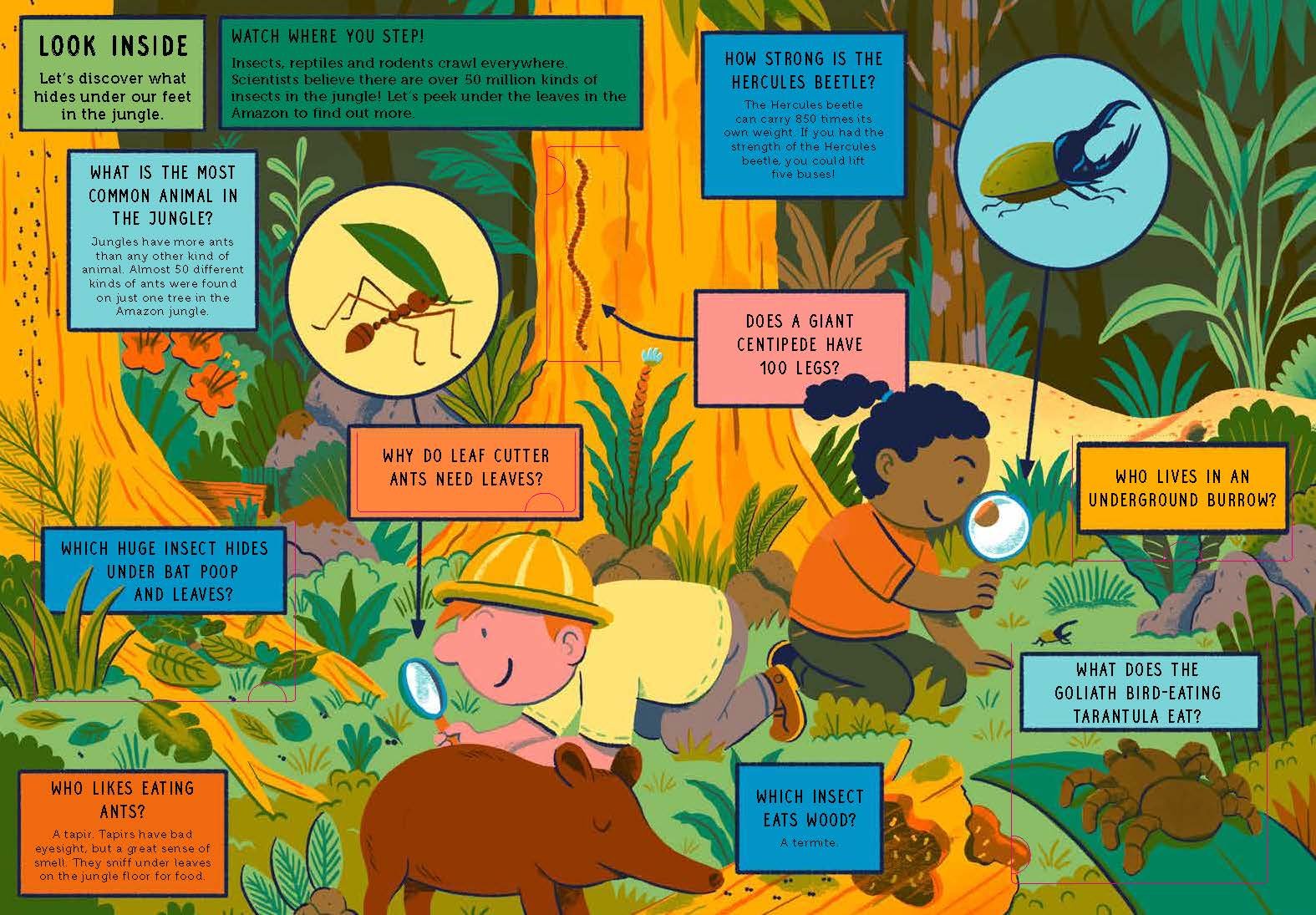 Life on Earth: Jungle: With 100 Questions and 70 Liftflaps!,Used