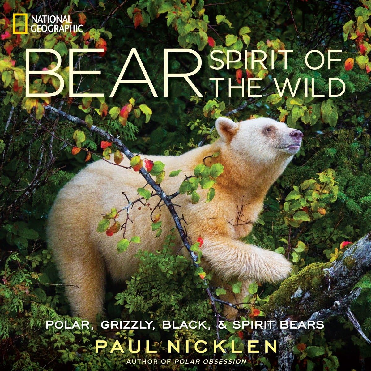 Bear: Spirit of the Wild,New