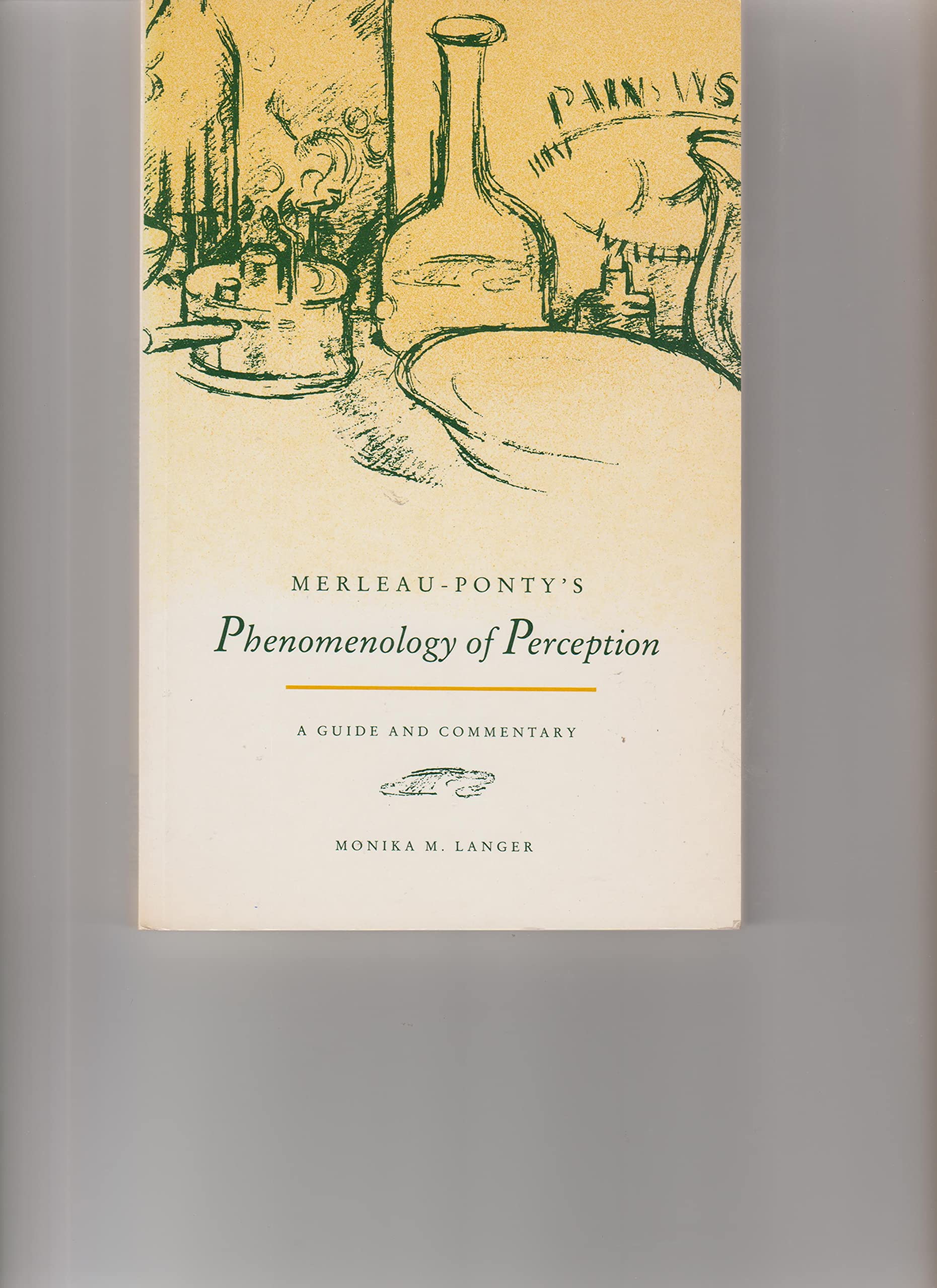 MerleauPonty's Phenomenology of Perception: A Guide and Commentary,Used