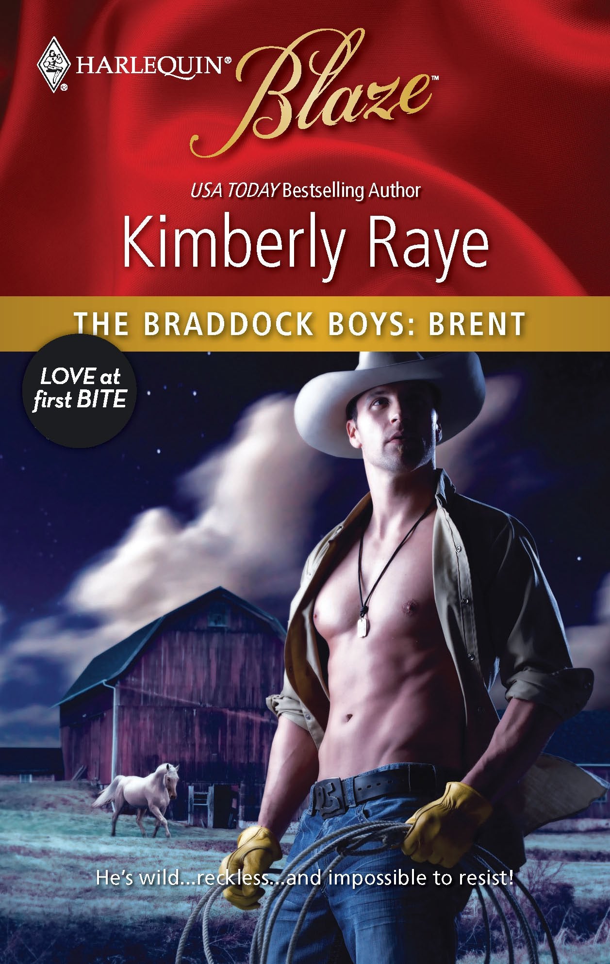 The Braddock Boys: Brent,Used