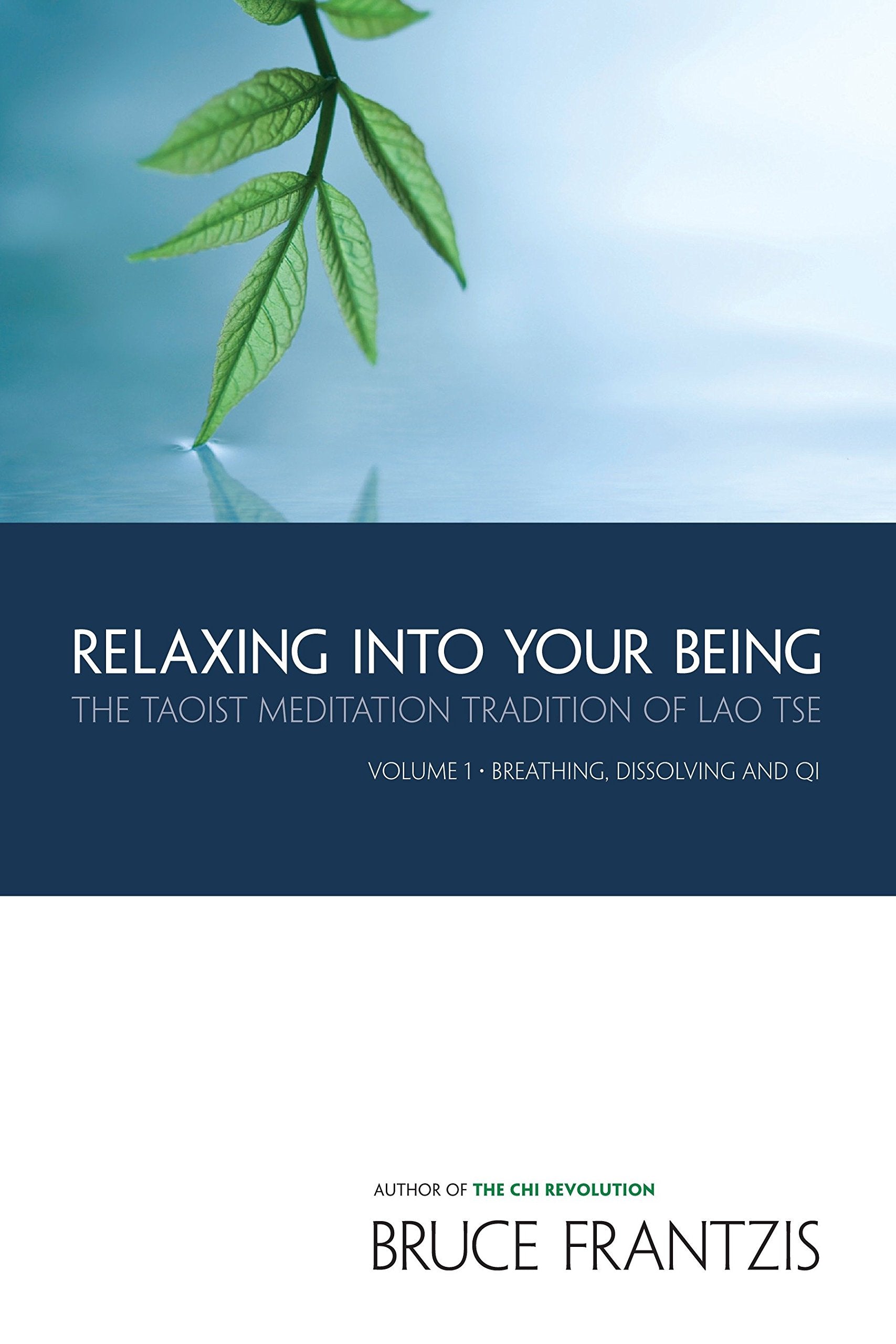 Relaxing into Your Being: The Taoist Meditation Tradition of Lao Tse, Volume 1 (Water Method of Taoist Meditation),Used