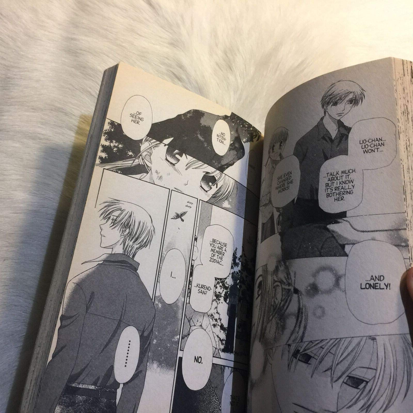Fruits Basket, Vol. 13,New