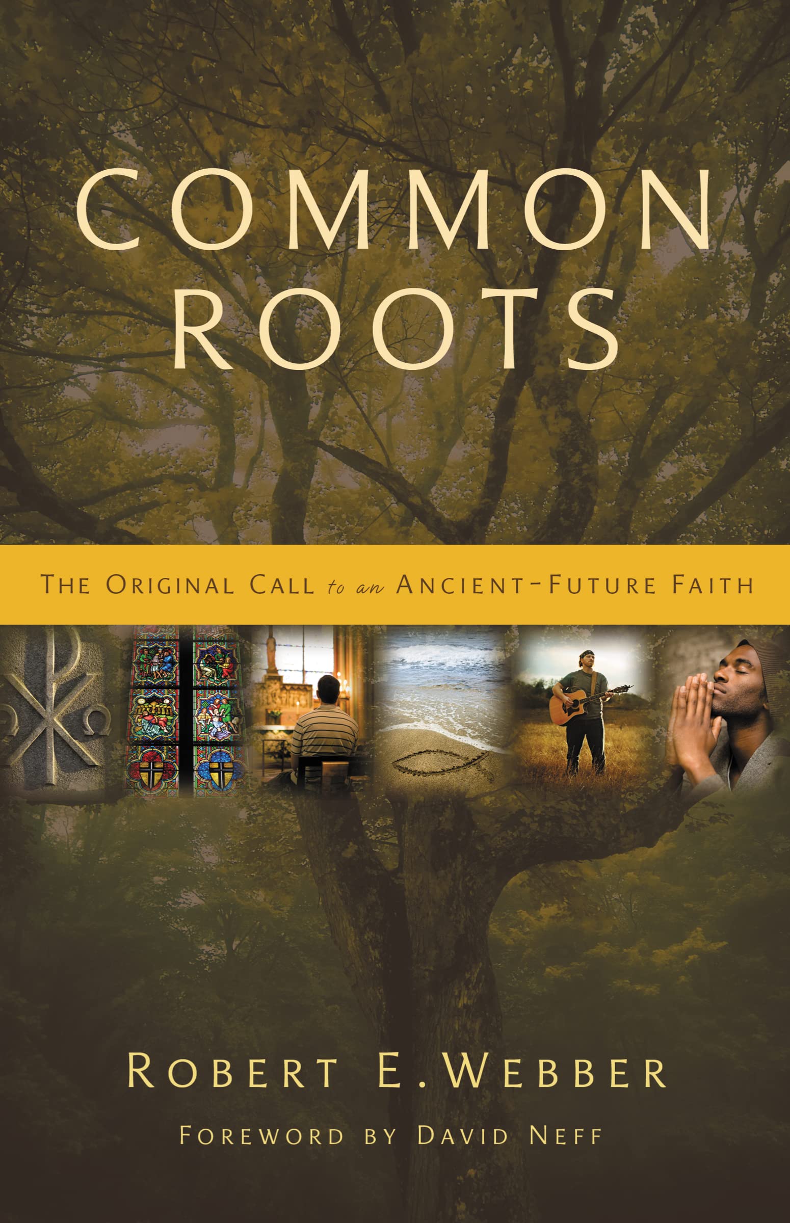 Common Roots: The Original Call to an AncientFuture Faith,Used