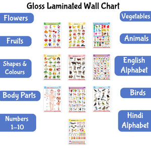 Educational English-Hindi Posters For Kids : Pack Of 10 Gloss Laminated Charts Covering Alphabet, Fruits, Vegetables, Animals, Birds, Body Parts, Numbers, Hindi Varnmala, Shapes, Colours, And Flowers