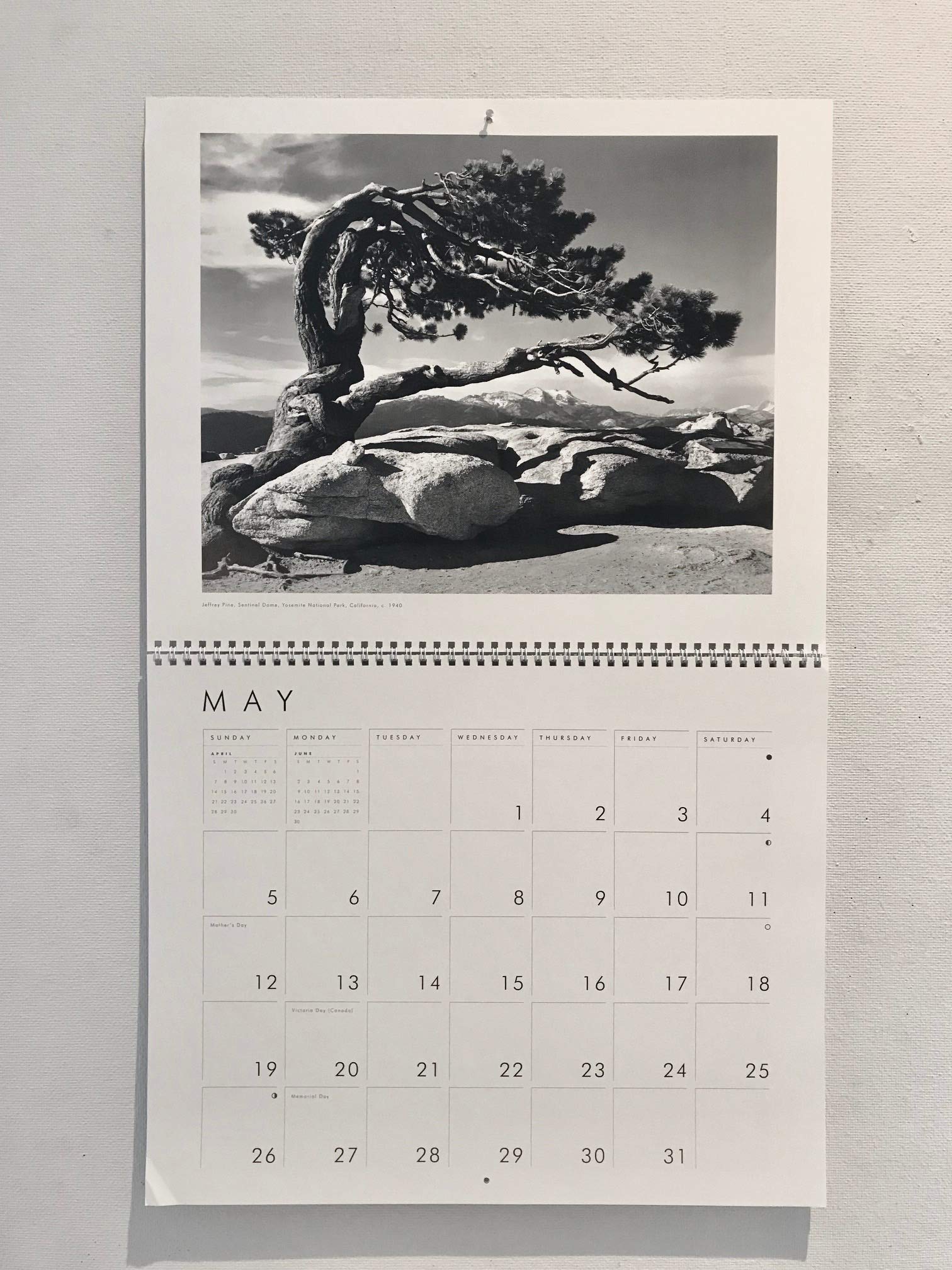 Ansel Adams 2019 Wall Calendar,New