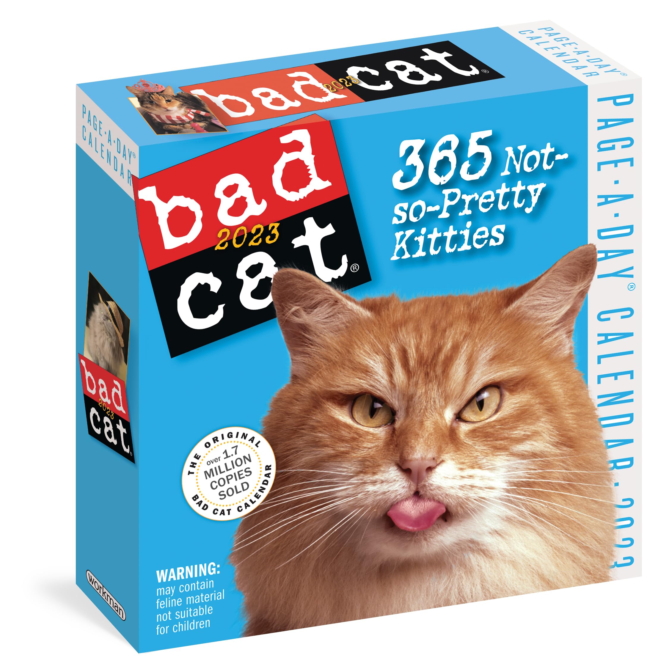 Bad Cat Pageaday Calendar 2023: 365 Not Sopretty Kitties