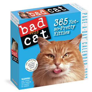 Bad Cat Pageaday Calendar 2023: 365 Not Sopretty Kitties