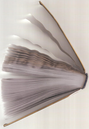 Program Management for Improved Business Results,Used