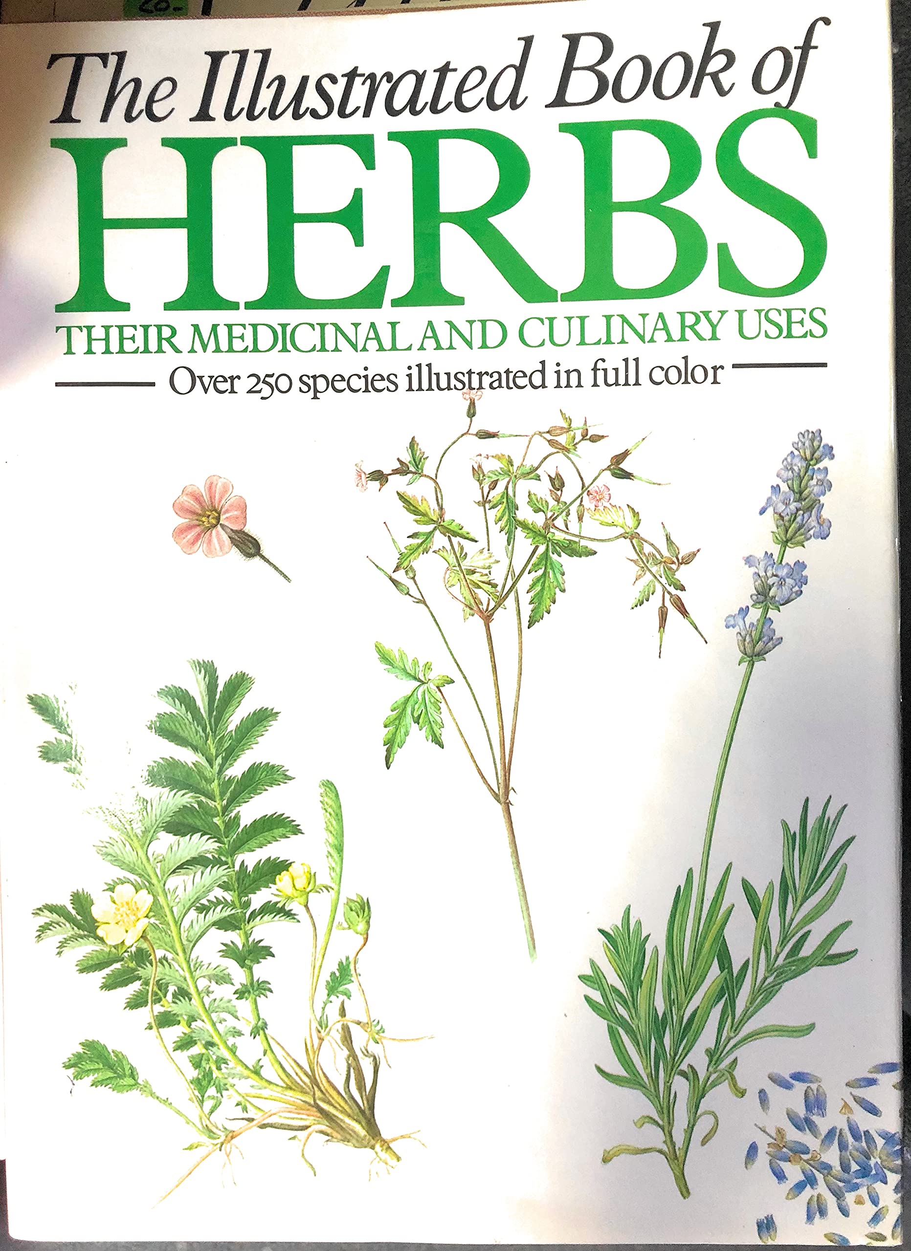 The Illustrated Book of Herbs,Used