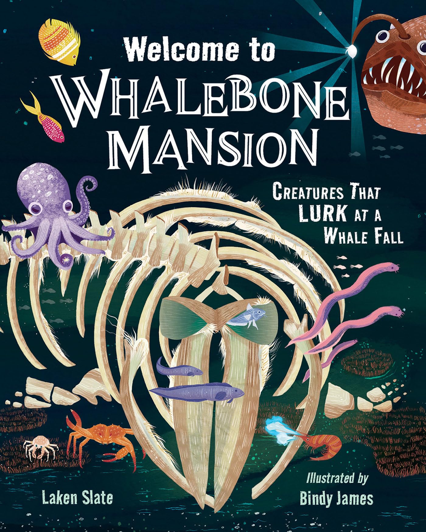 Welcome To Whalebone Mansion: Creatures That Lurk At A Whale Fall