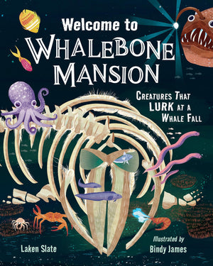 Welcome To Whalebone Mansion: Creatures That Lurk At A Whale Fall