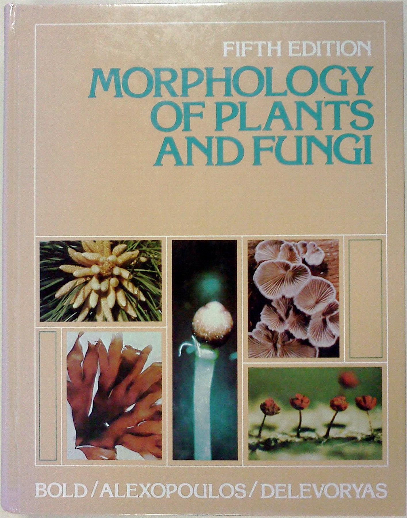Morphology of Plants and Fungi,Used