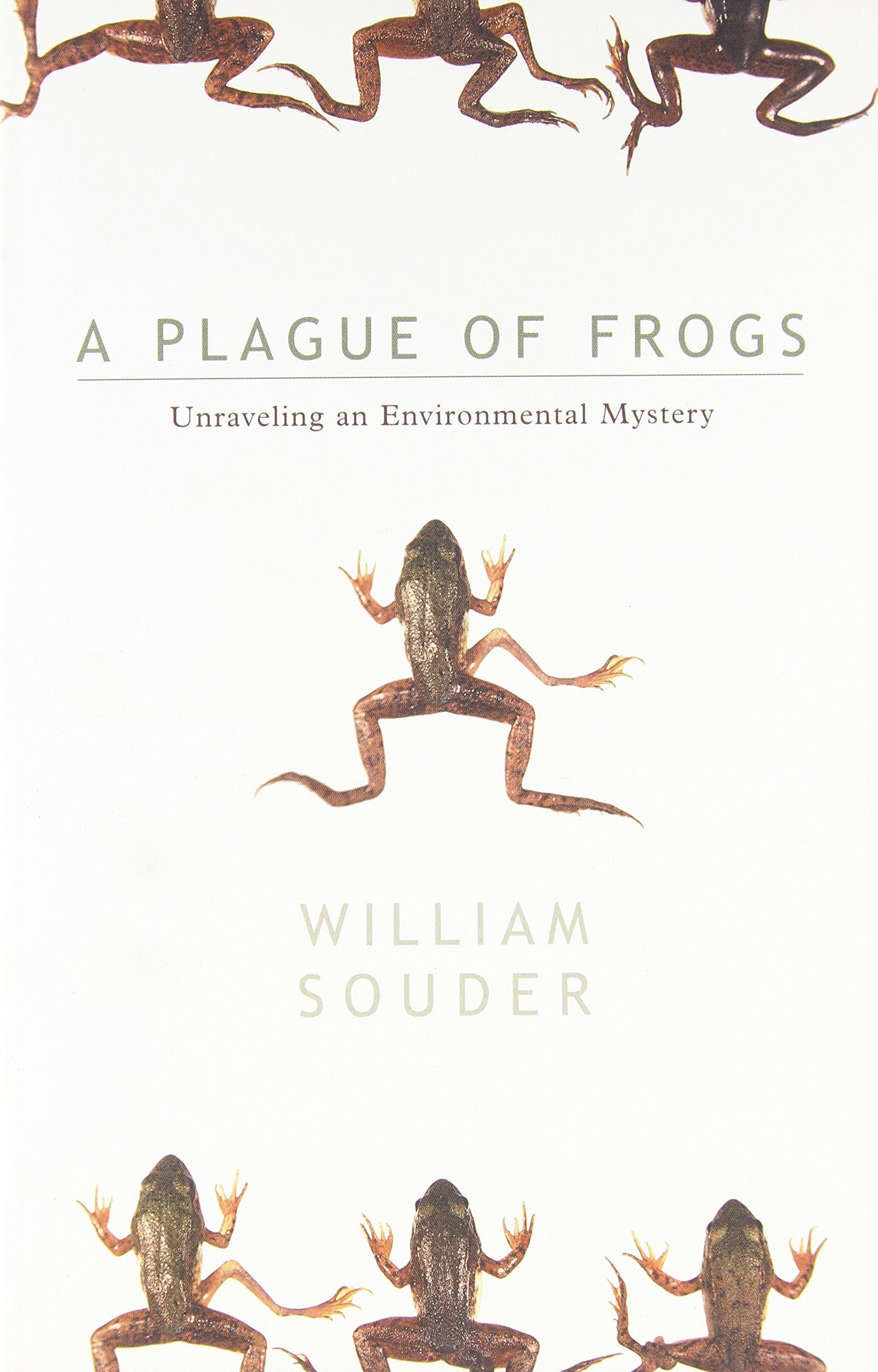 Plague Of Frogs: Unraveling An Environmental Mystery (Reptiles & Amphibians),Used