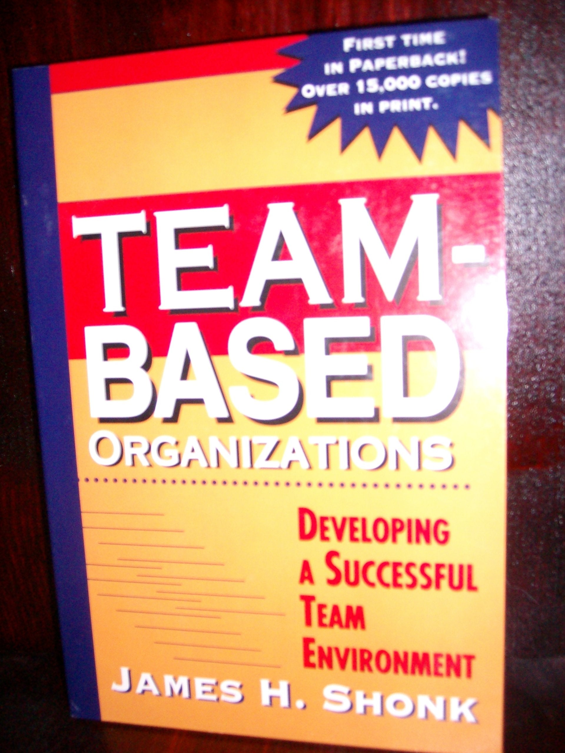 TeamBased Organizations: Developing a Successful Team Environment,Used