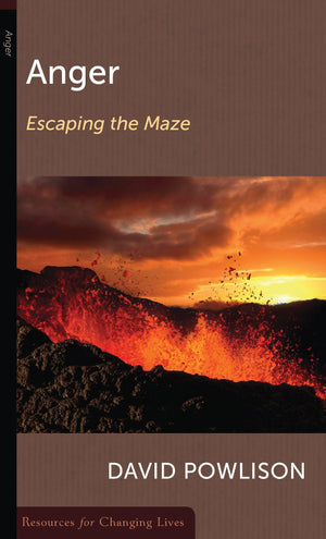 Anger: Escaping the Maze,Used